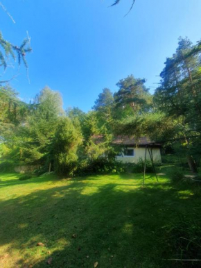 poziomkowo mi w Borach Tucholskich in Wycinki